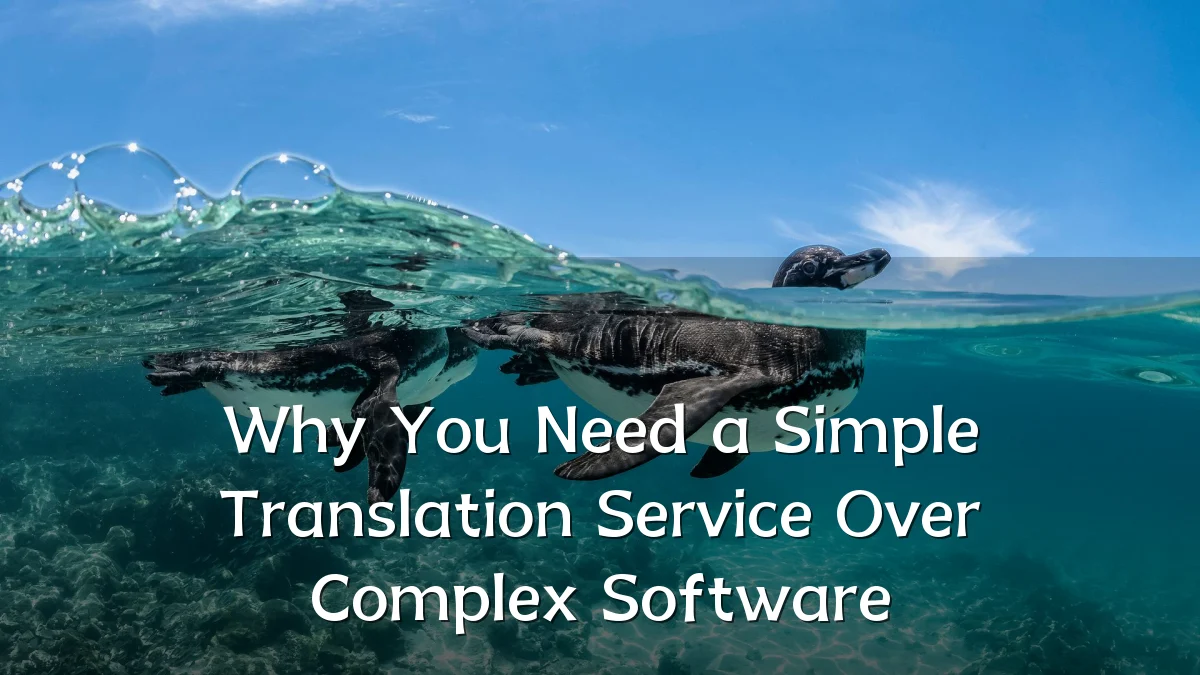 Why You Need a Simple Translation Service Over Complex Software